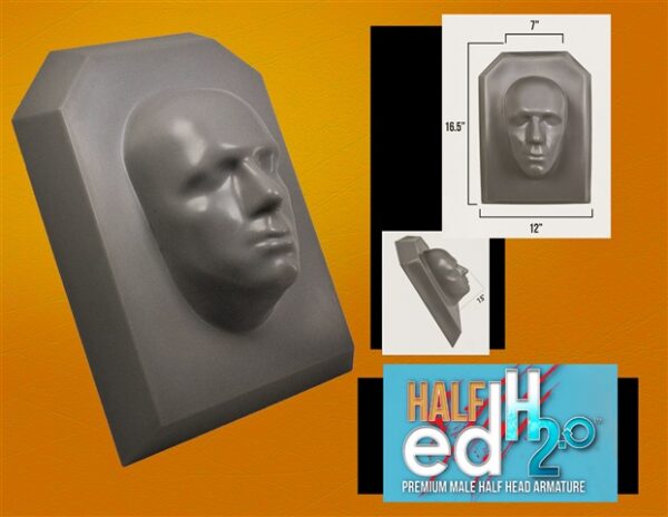 Male half head armature display