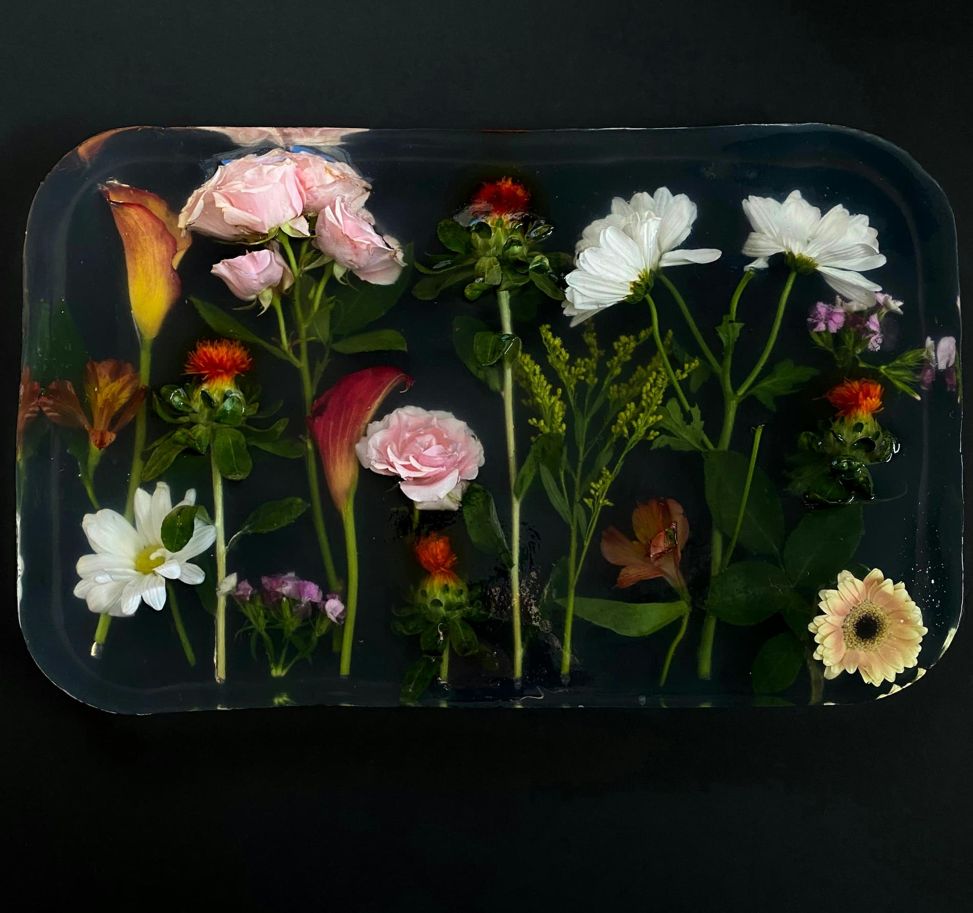 Colorful flowers encased in resin